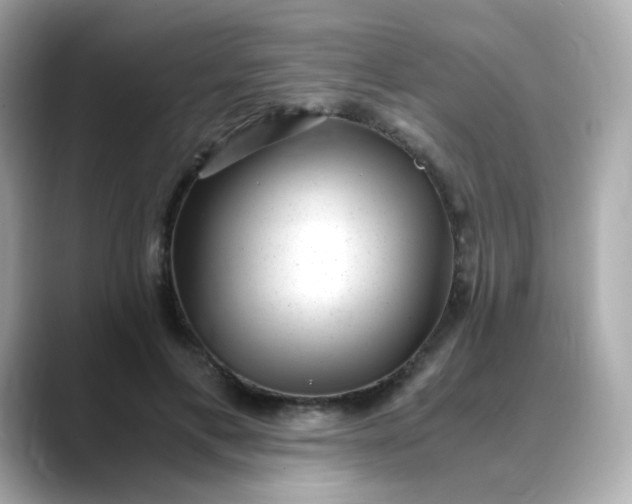 X0000088440597200706051249