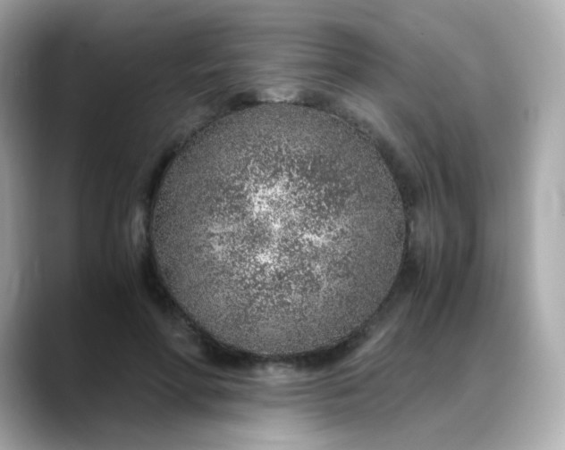 X0000088440598200706051249