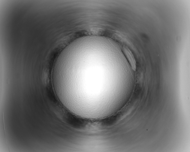 X0000088440599200706051249