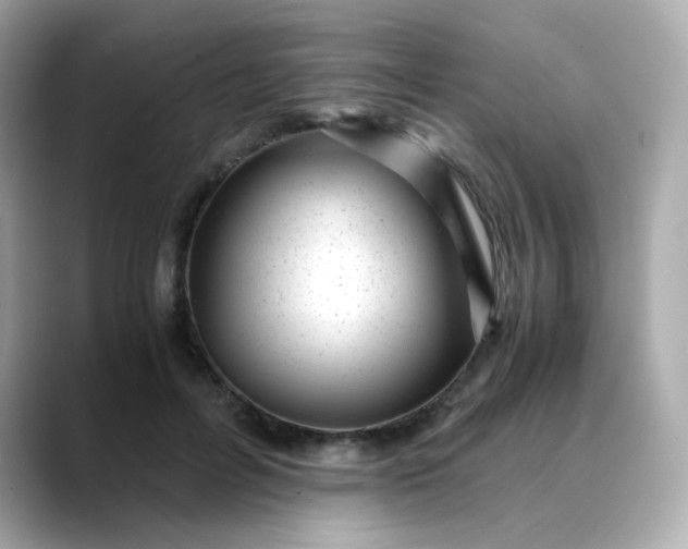X0000088440600200706051249