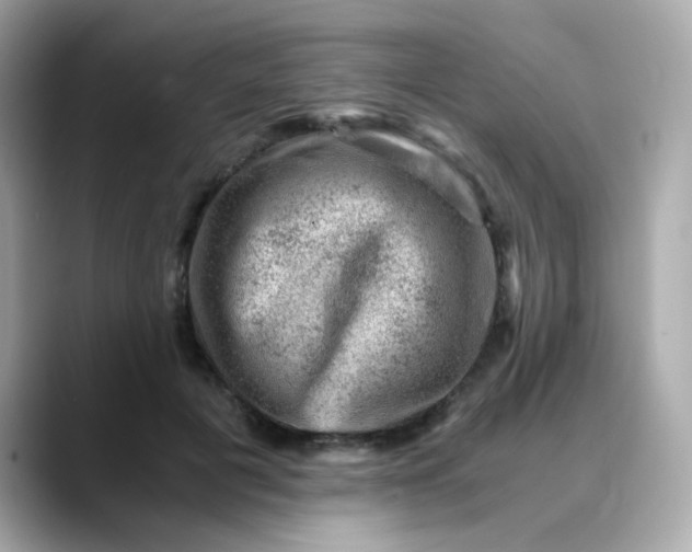 X0000088440601200706051249