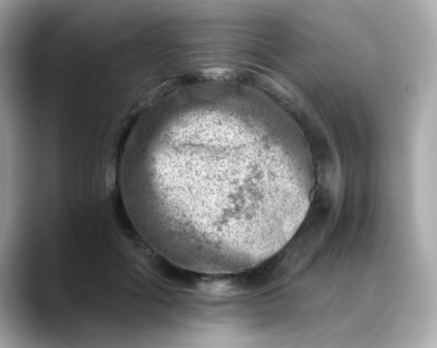 X0000088440602200706051249
