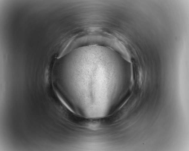 X0000088440604200706051249