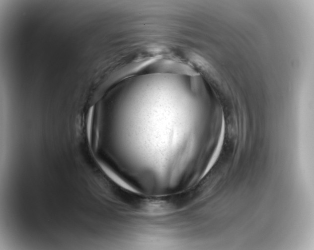 X0000088440605200706051249
