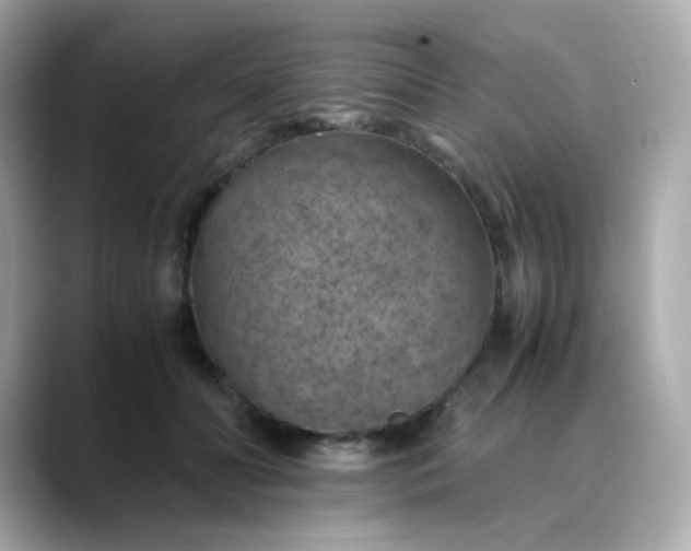 X0000088440606200706051249