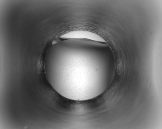 X0000088440608200706051249