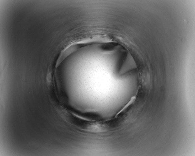 X0000088440611200706051249
