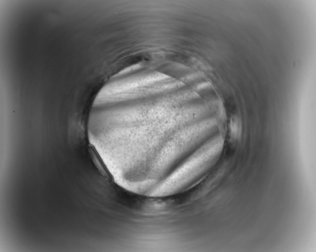 X0000088440613200706051249