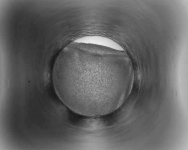 X0000088440615200706051249