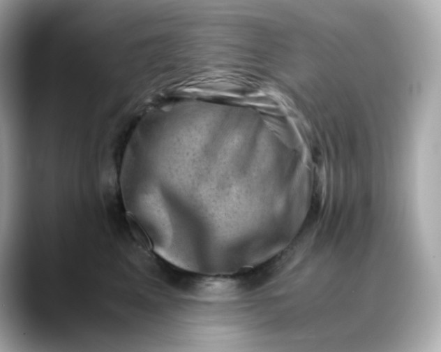 X0000088440617200706051249