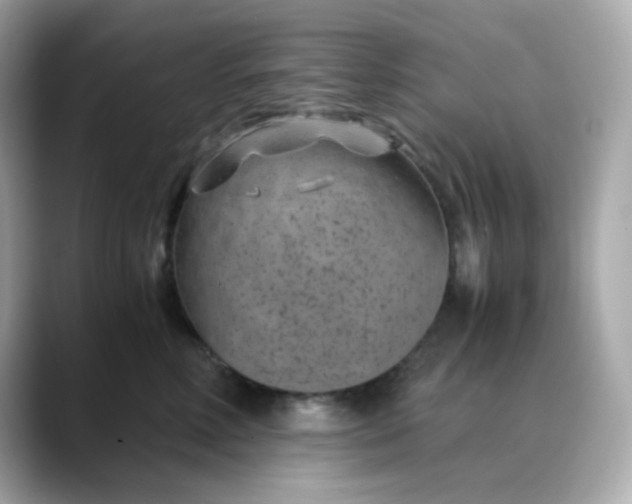 X0000088440618200706051249