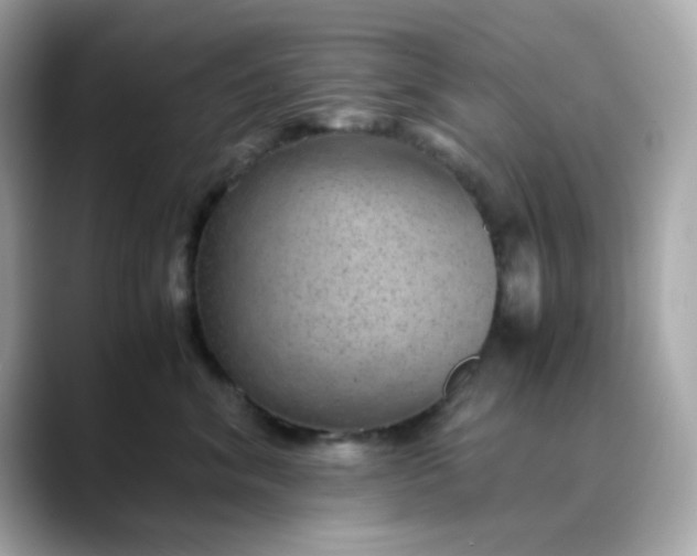 X0000088440620200706051249