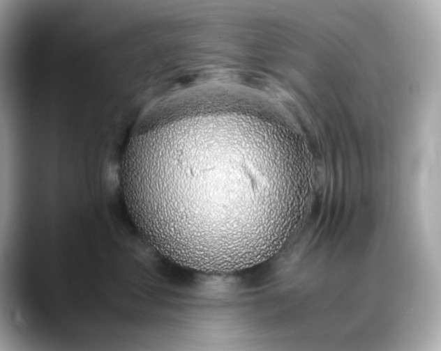 X0000088440621200706051249