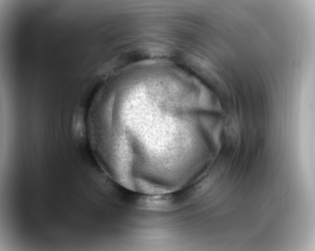 X0000088440622200706051249