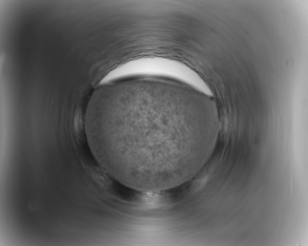 X0000088440623200706051249