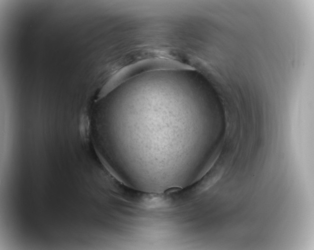 X0000088440624200706051249