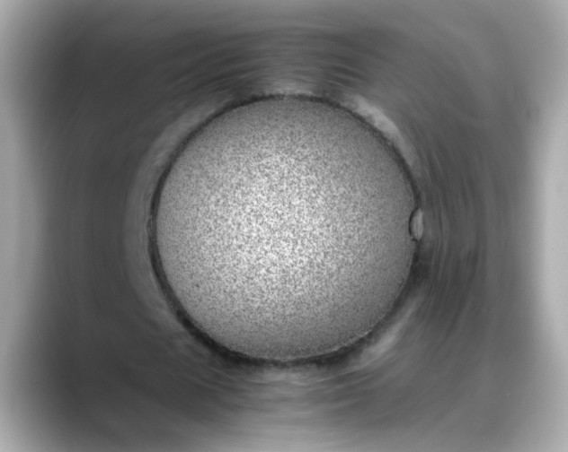 X0000088440625200706051249