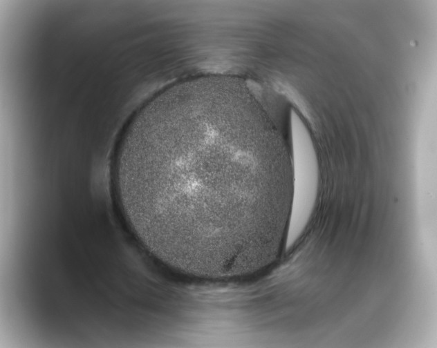 X0000088440626200706051249