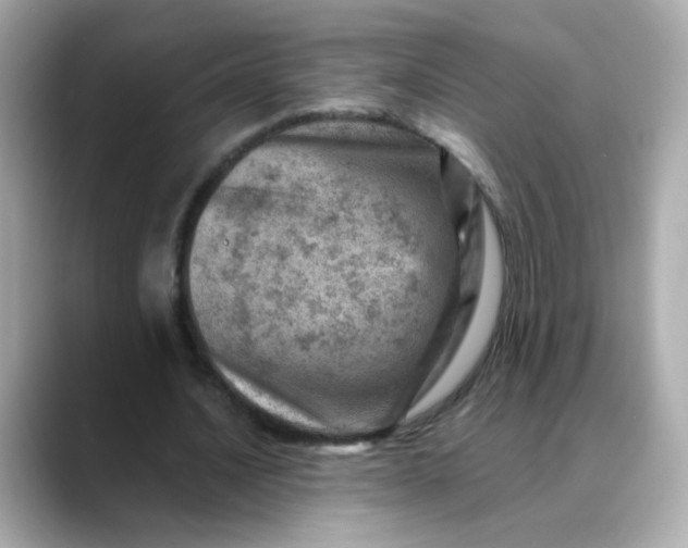 X0000088440628200706051249
