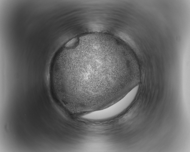 X0000088440630200706051249