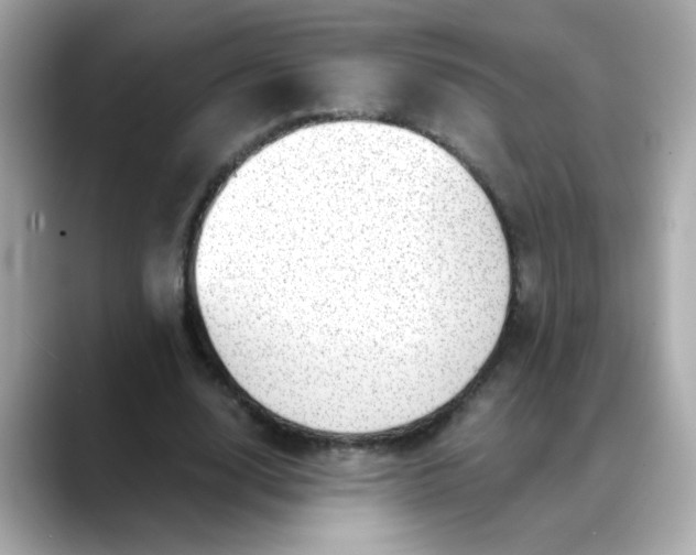 X0000088440632200706051249