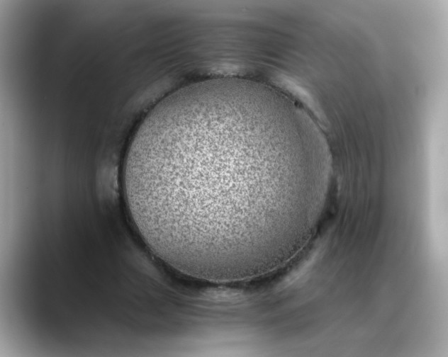 X0000088440633200706051249