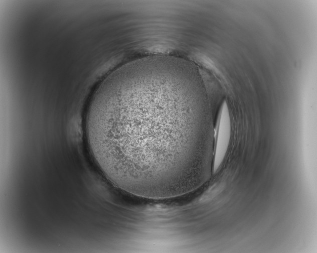 X0000088440634200706051249