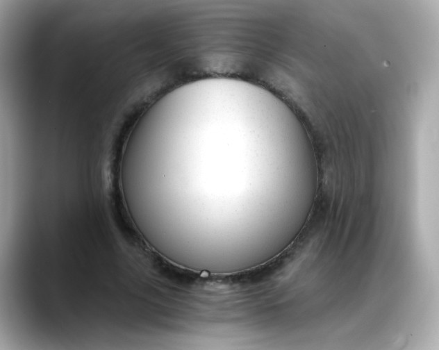 X0000088440635200706051249