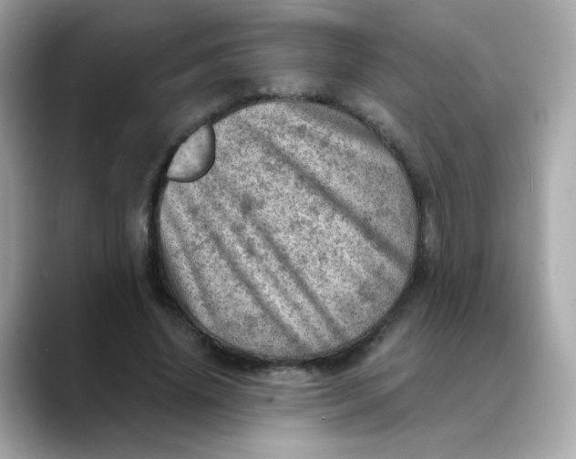 X0000088440636200706051249