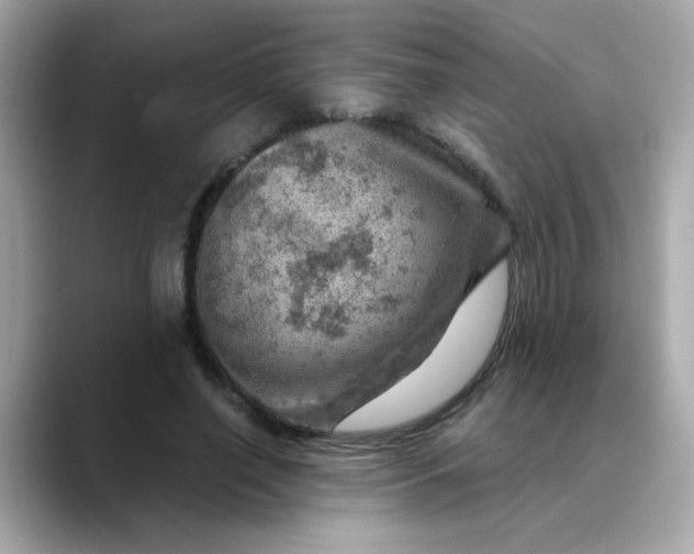 X0000088440638200706051249