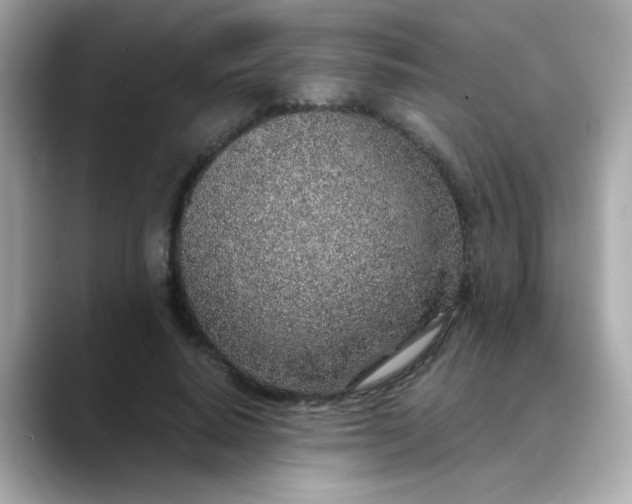 X0000088440640200706051249