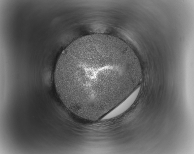 X0000088440641200706051249