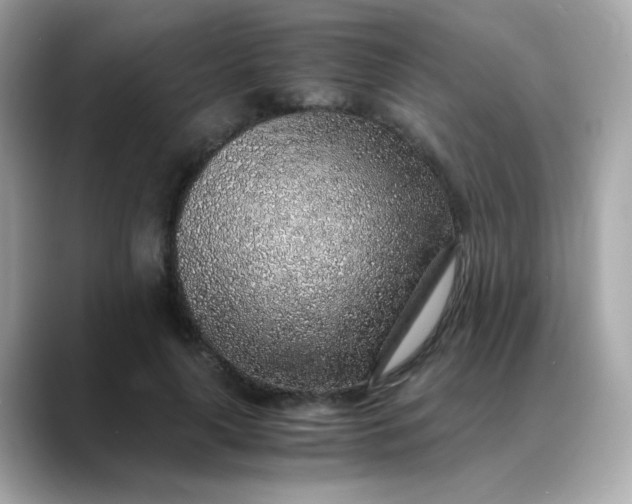 X0000088440643200706051249