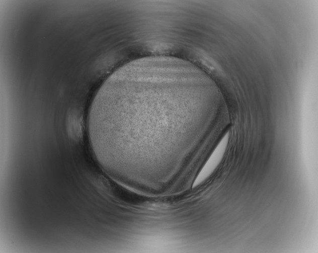 X0000088440644200706051249