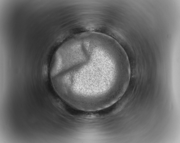 X0000088440646200706051249