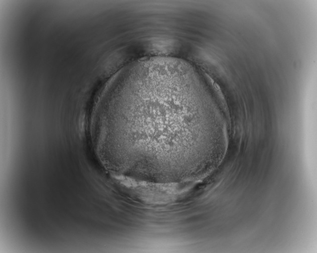 X0000088440647200706051249