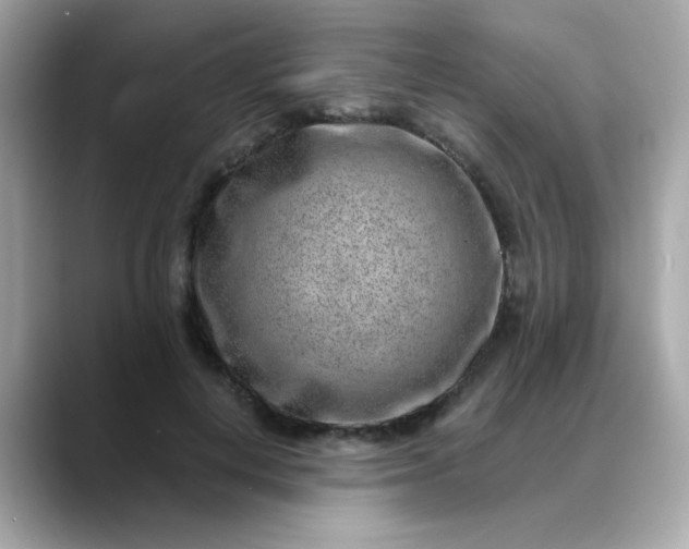 X0000088440648200706051249