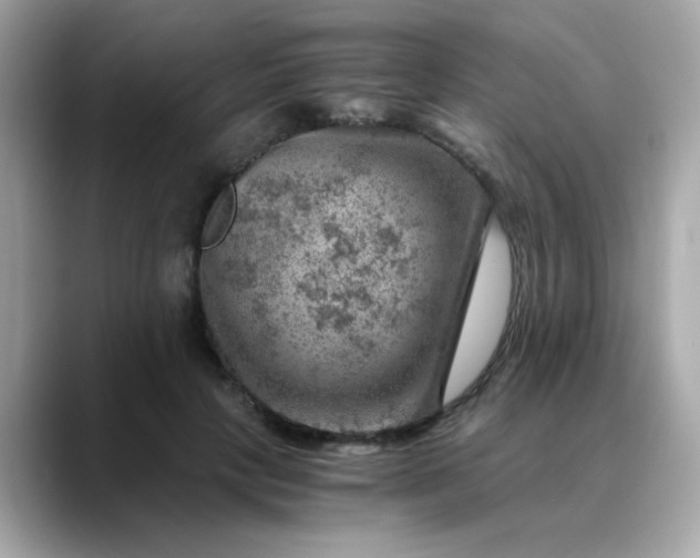 X0000088440649200706051249