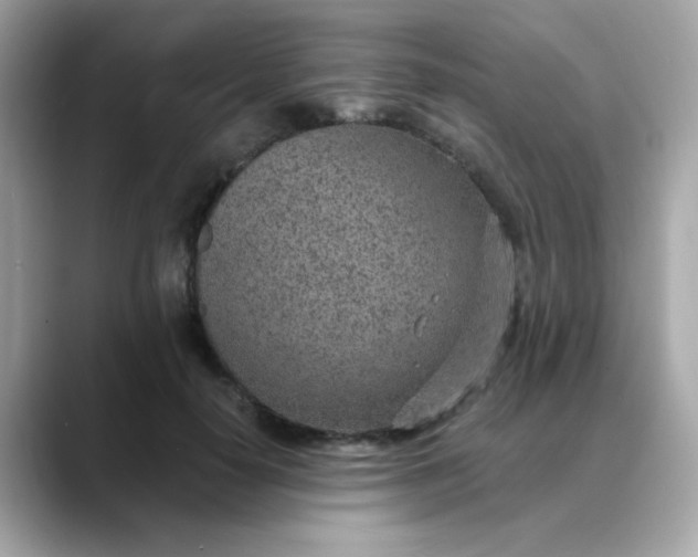 X0000088440650200706051249