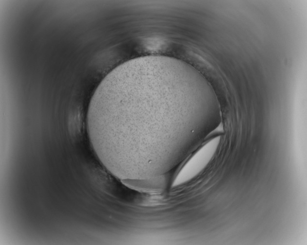 X0000088440651200706051249