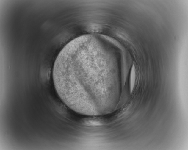 X0000088440652200706051249