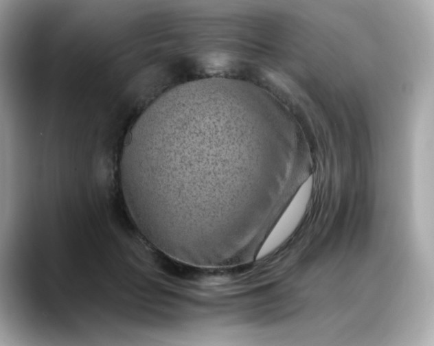 X0000088440653200706051249