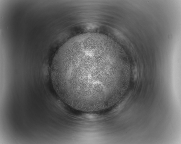 X0000088440654200706051249