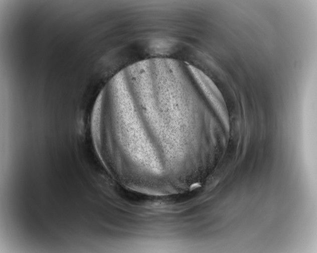 X0000088440655200706051249