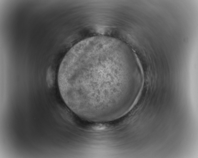 X0000088440656200706051249