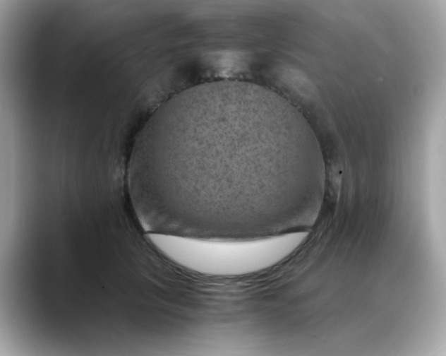 X0000088440657200706051249
