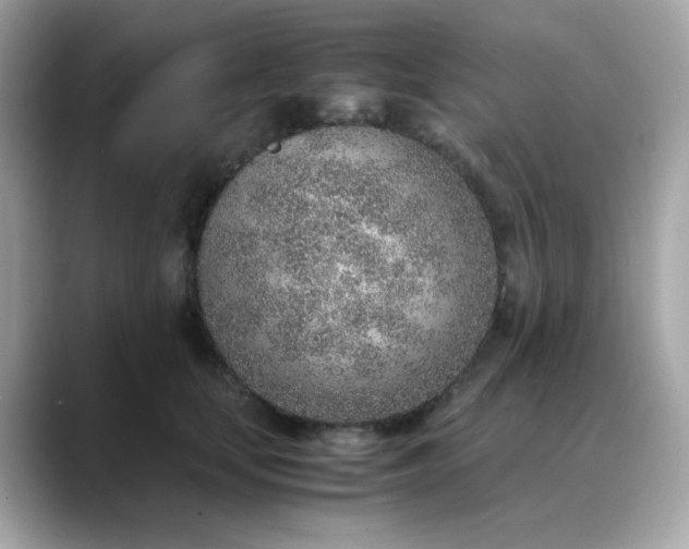 X0000088440659200706051249