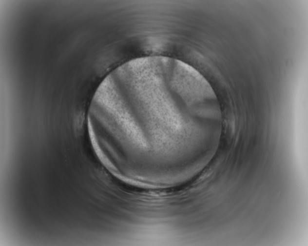 X0000088440660200706051249