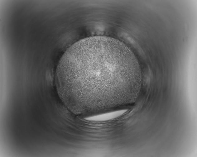 X0000088440661200706051249