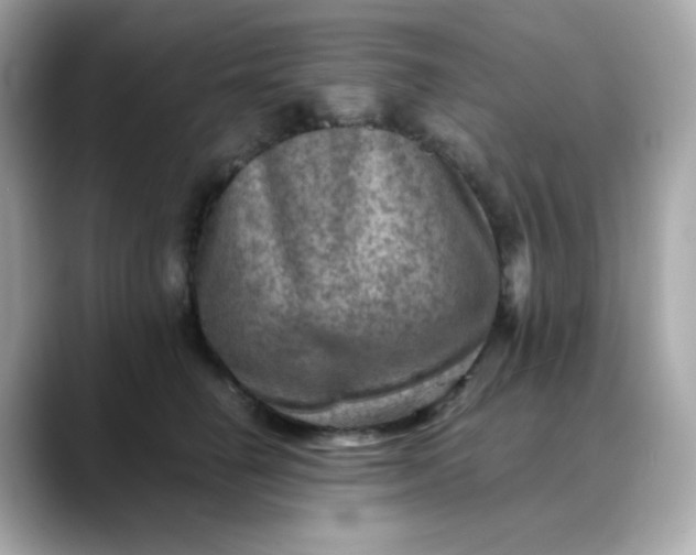 X0000088440662200706051249
